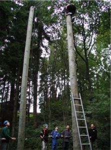 Hochseilgarten